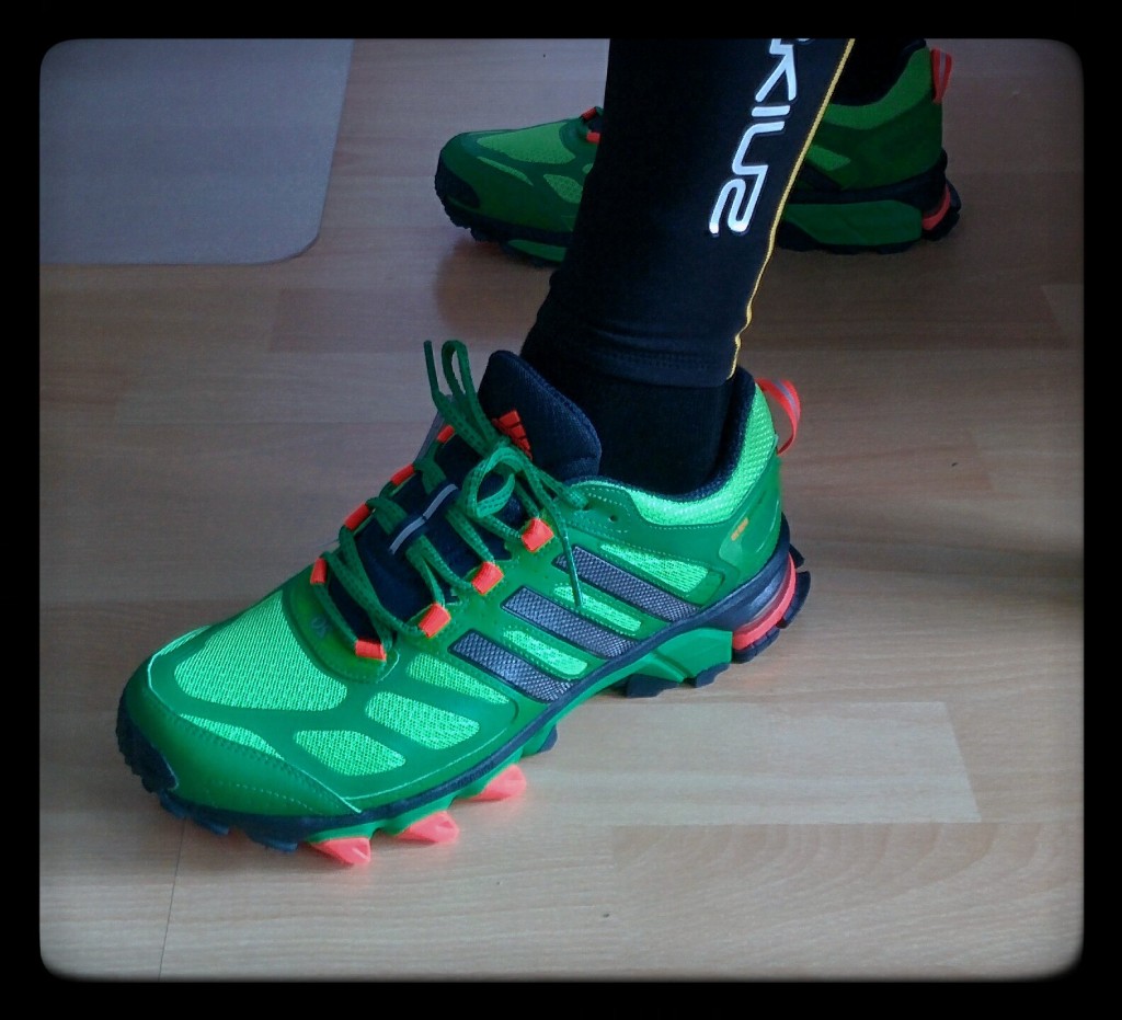 Response Trail 20: taugt der Trailschuh?